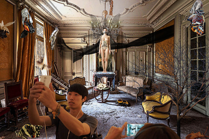 <transcy>Metamorphosis</transcy>